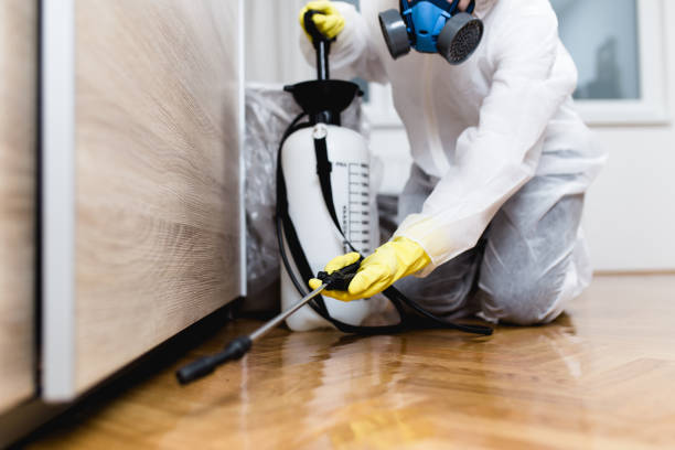 Best Bed Bug Extermination  in Clovis, CA
