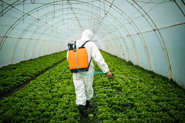 Trusted Clovis, CA Pest Control Experts