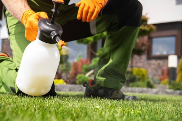 Best Mosquito Control Services  in Clovis, CA