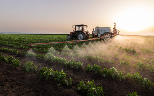 Best Pest Control for Businesses  in Clovis, CA