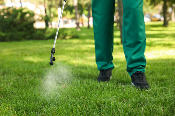 Best Pest Prevention Services  in Clovis, CA
