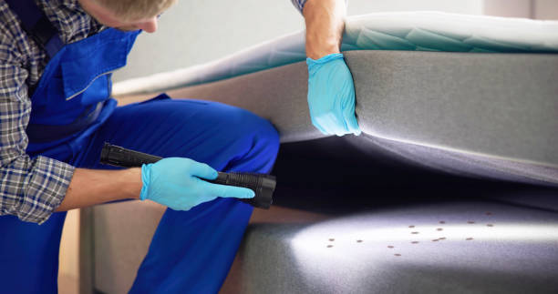 Best Ant Control Services  in Clovis, CA