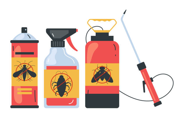 Best Pest Control Near Me in Clovis, CA