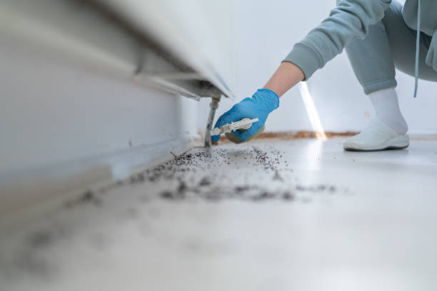 Best Pest Inspection Near Me  in Clovis, CA