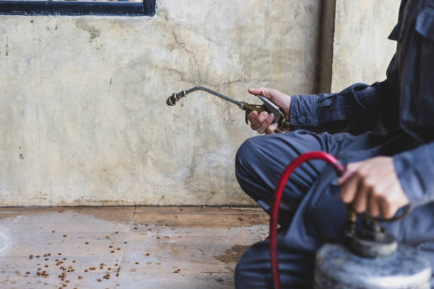 Best Pest Prevention Services  in Clovis, CA
